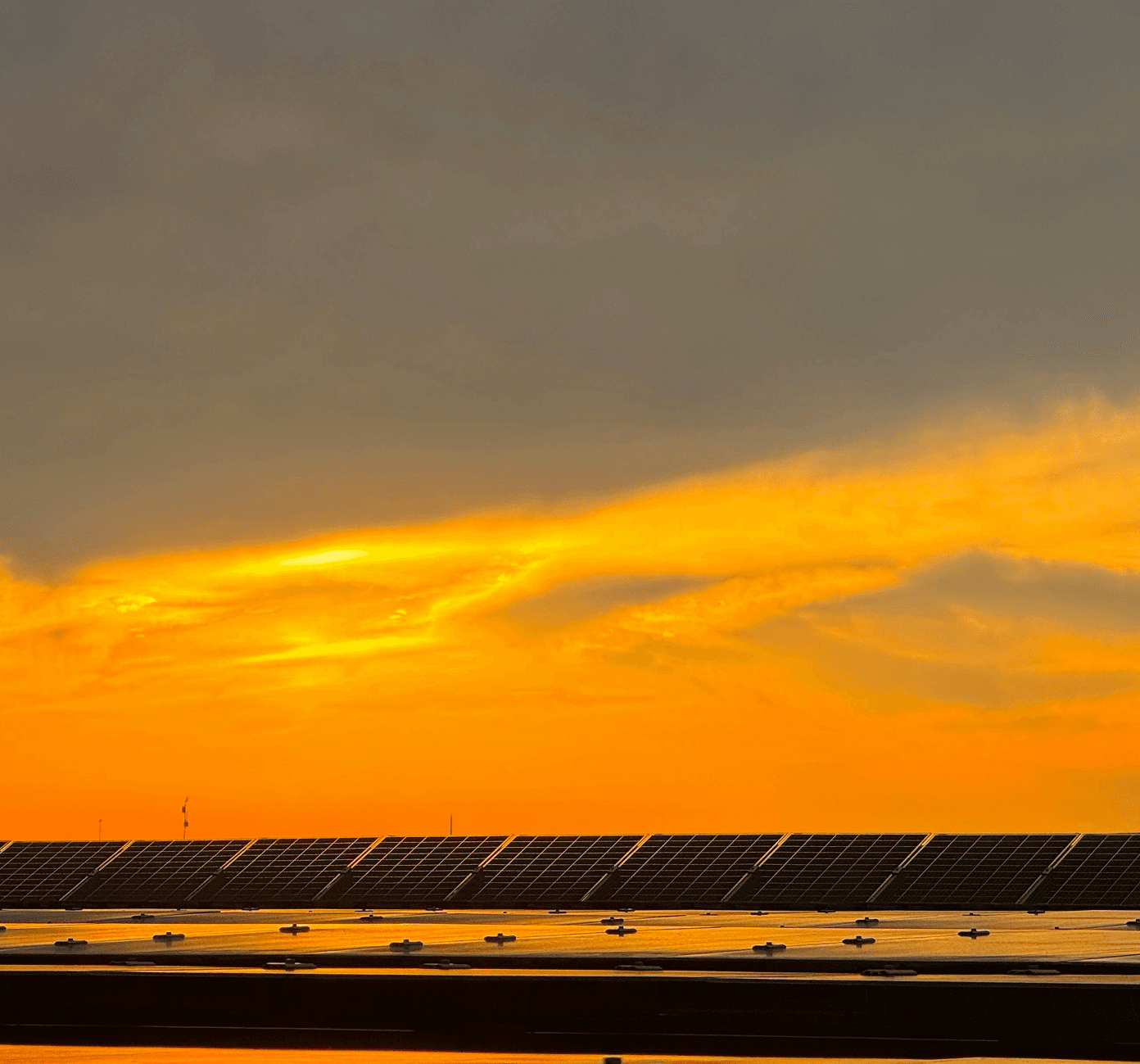 Atardecer con paneles