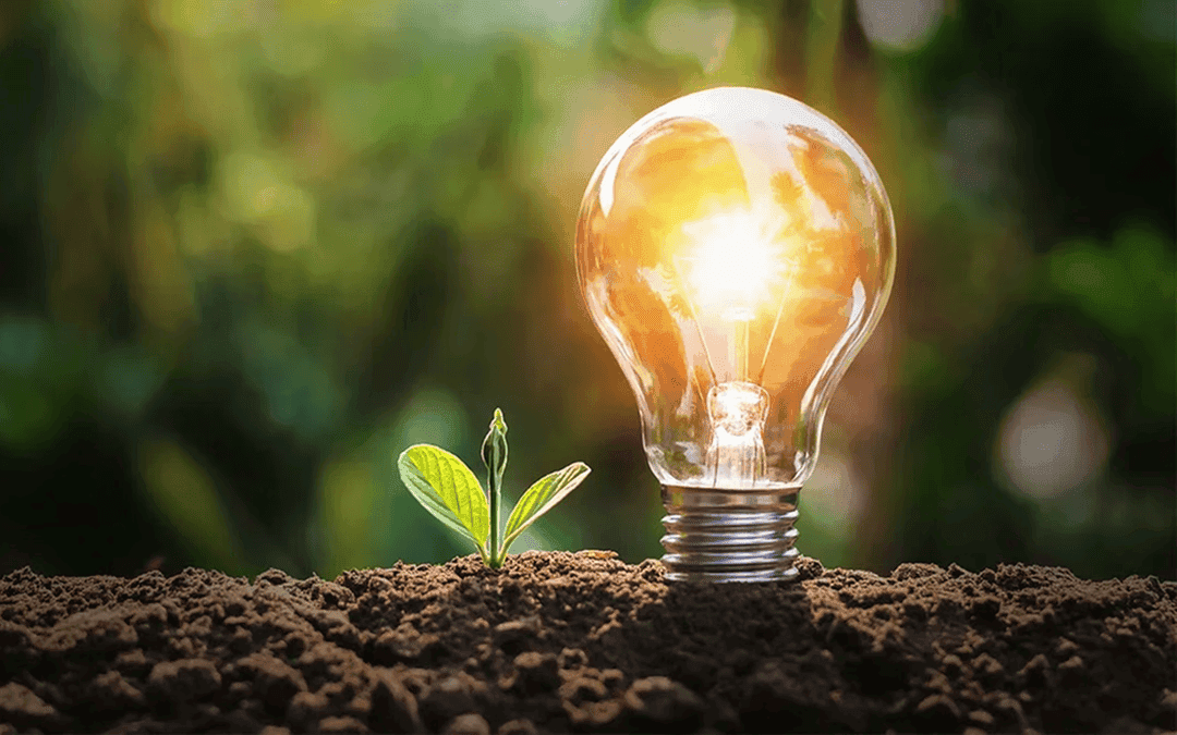 Día Mundial del Ahorro de Energía