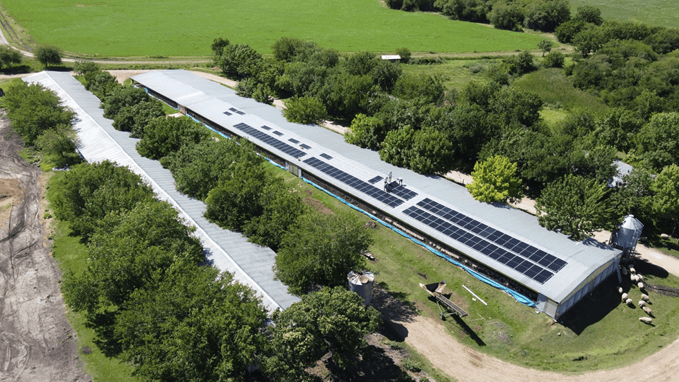 La energía solar continua sumando proyectos para el sector productivo